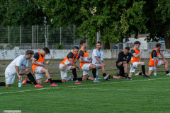 hfc_vs_budissa-60