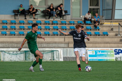 hfc_vs_budissa-61