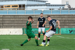 hfc_vs_budissa-63