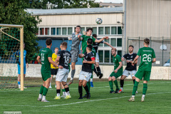 hfc_vs_budissa-66