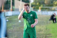 hfc_vs_budissa-68
