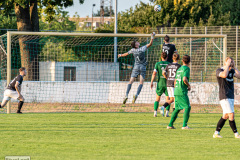 hfc_vs_budissa-70