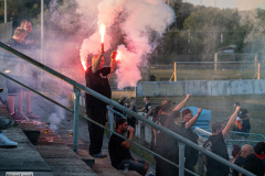 hfc_vs_budissa-71