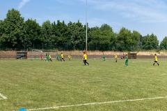 IMG-20210619-WA0011