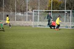 IMG-20220214-WA0013