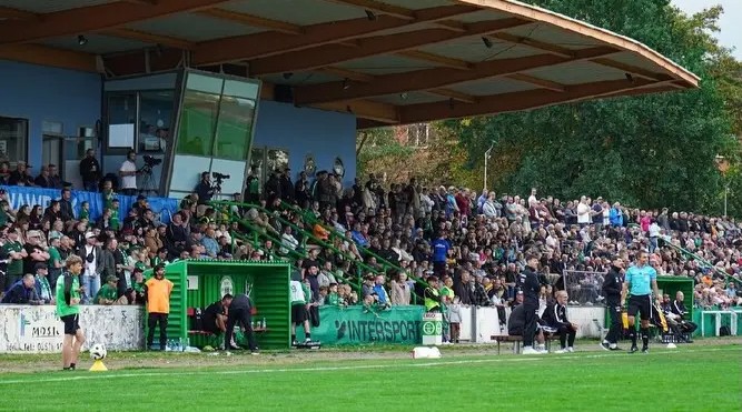 Quelle: HFC